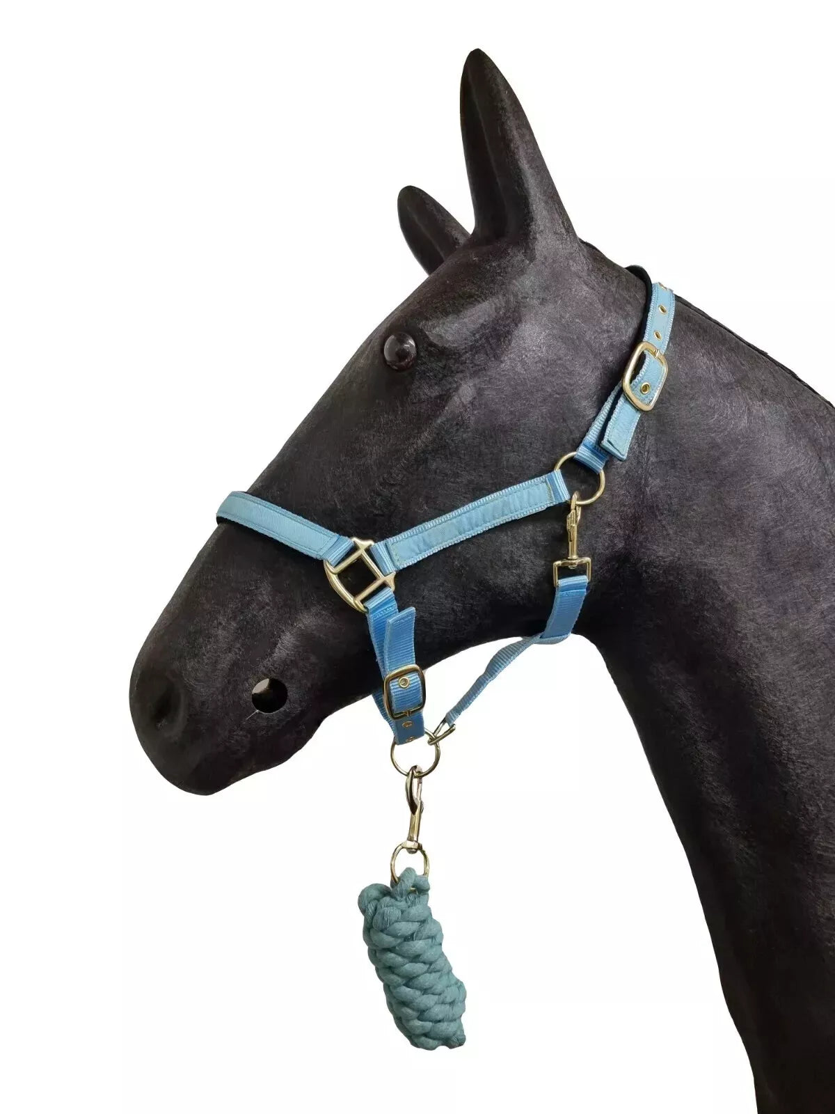 Horse Masters Best On Horse Equestrian Padded Adjustable Plain Headcollar lead