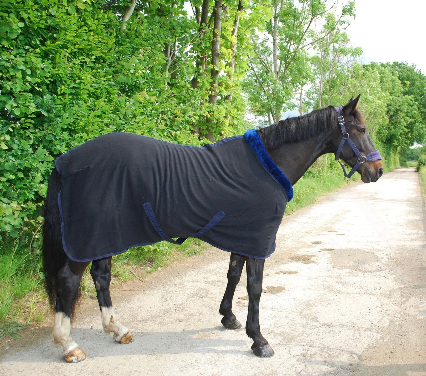 Horse masters Fluffy Collar Fleece Navy
