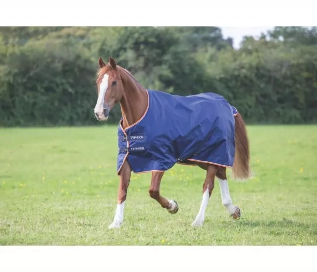 Shires 0g Turnout No Neck Rug check description for details