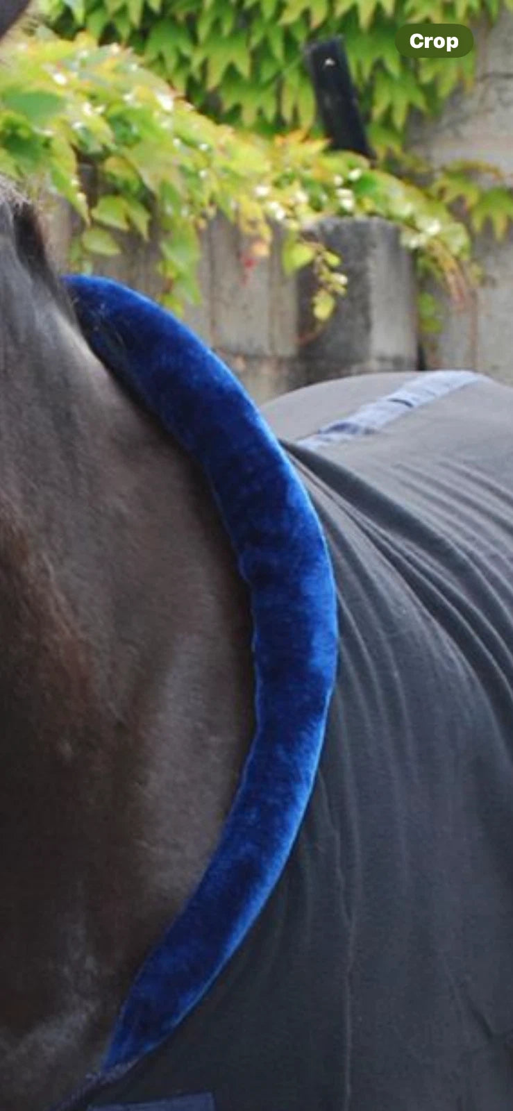 Horse masters Fluffy Collar Fleece Navy