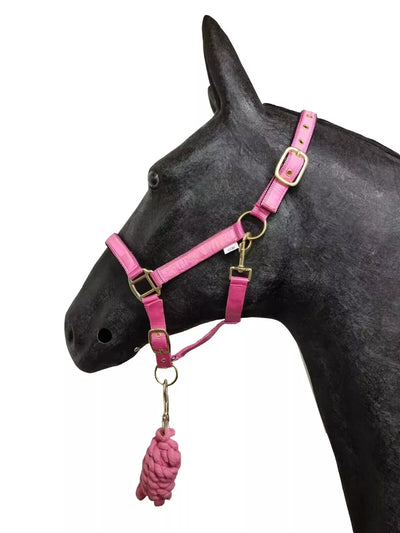 Horse Masters Best On Horse Equestrian Padded Adjustable Plain Headcollar lead