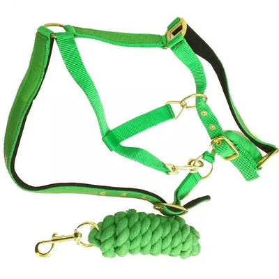 Horse Masters Best On Horse Equestrian Padded Adjustable Plain Headcollar lead