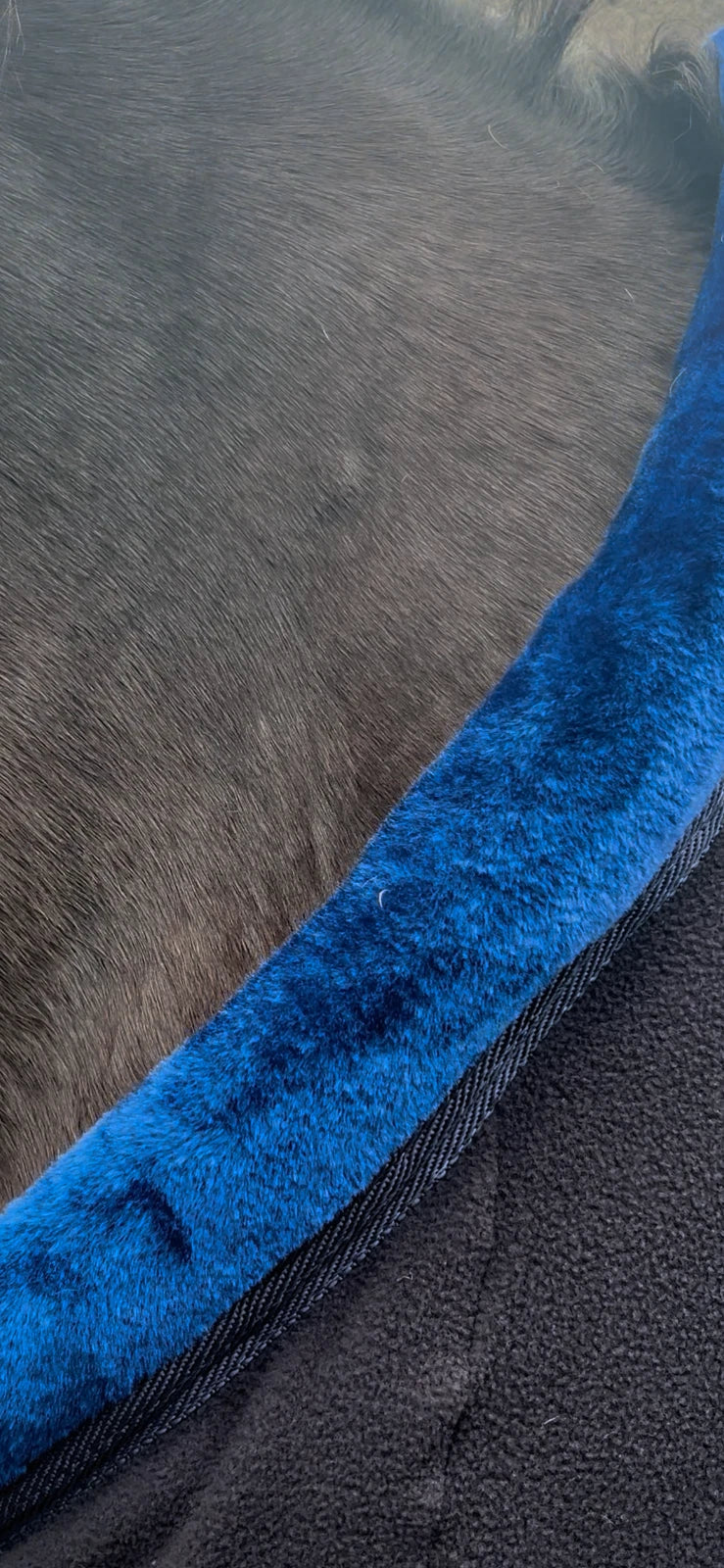 Horse masters Fluffy Collar Fleece Navy