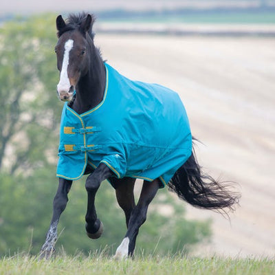 Shires Tempest Original 300g Heavyweight Turnout Rug