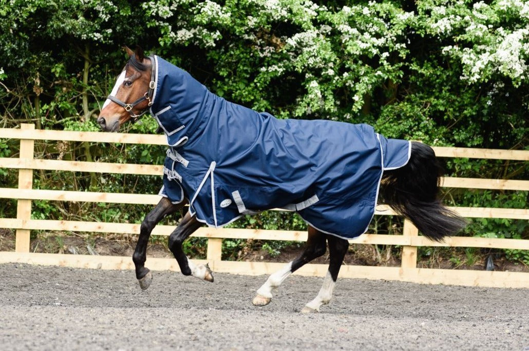 Best On Horse 350g 600D Heavyweight Waterproof Combo Turnout Rug