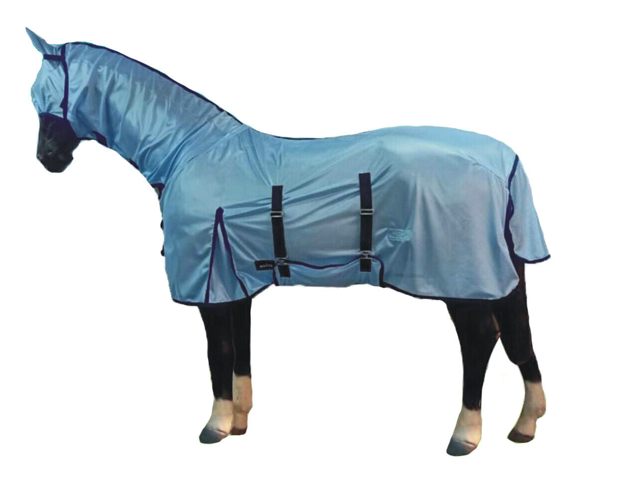 Horse Masters Plain Baby Blue Fly Rug with FREE MASK