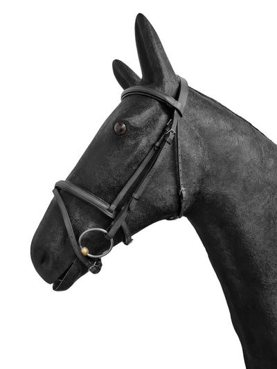 Economical Padded Snaffle Flash Bridle with Reins