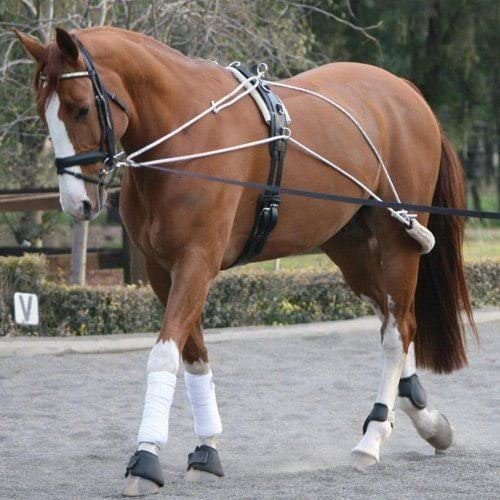 Horse Masters Equestrian Pessoa Style Pulley Rope Schooling System Training Aid