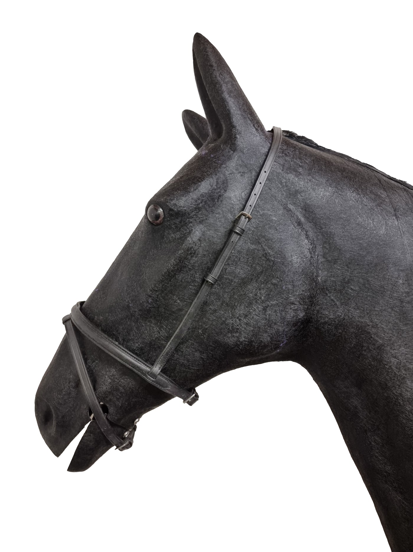 Shires Wessex Raised Flash Cavesson Noseband - Black