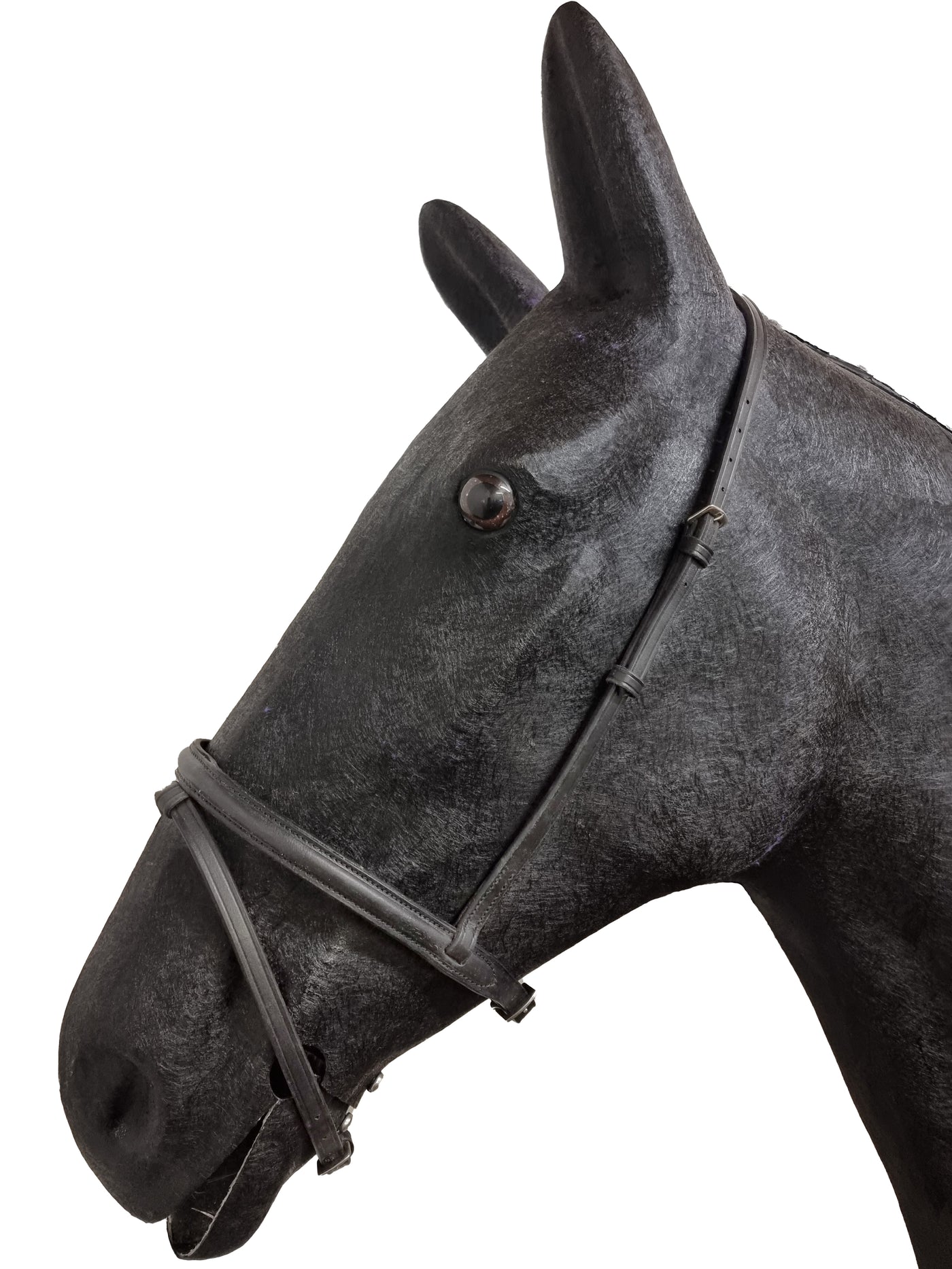 Shires Wessex Raised Flash Cavesson Noseband - Black