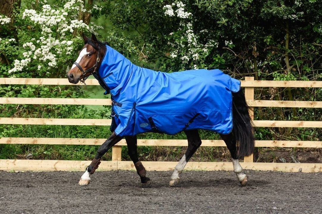 Best On Horse 100g 600D Waterproof Combo Turnout Rug