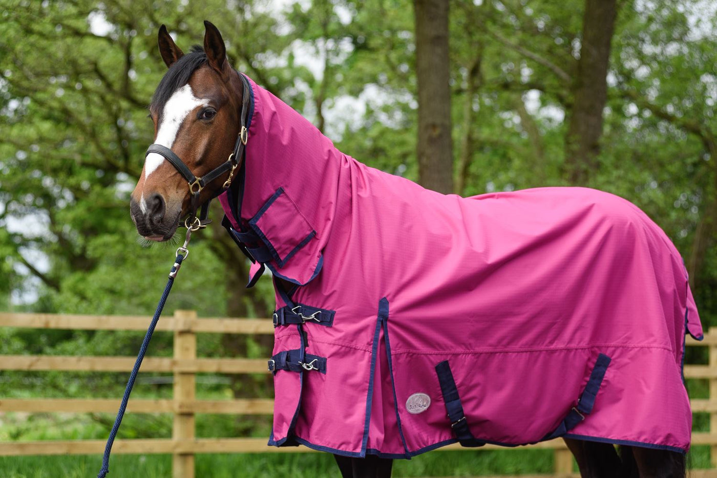 Best On Horse 50g 600D Waterproof Combo Turnout Rugs