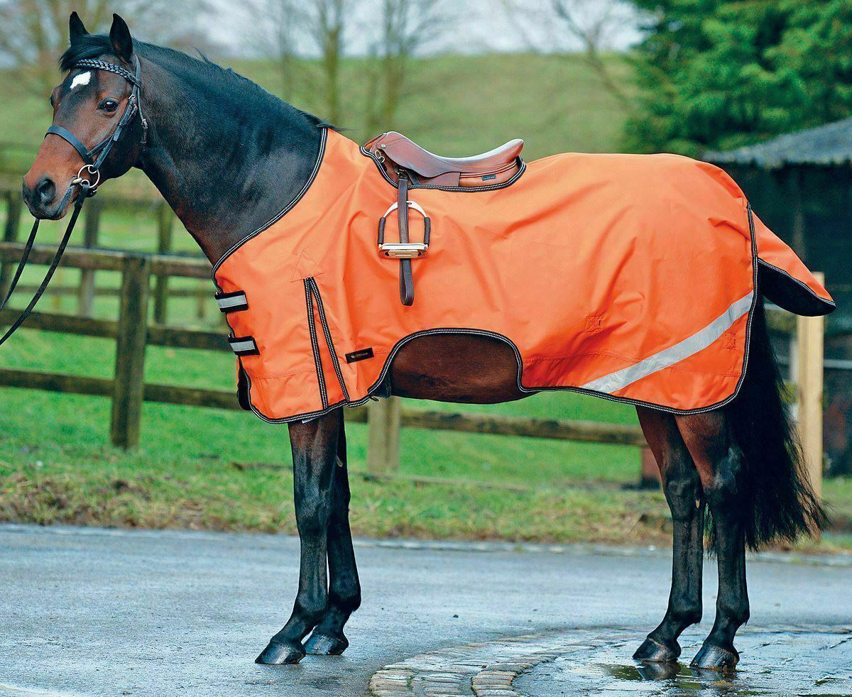 White Horse Reflective Hi-Viz Waterproof Exercise Sheet