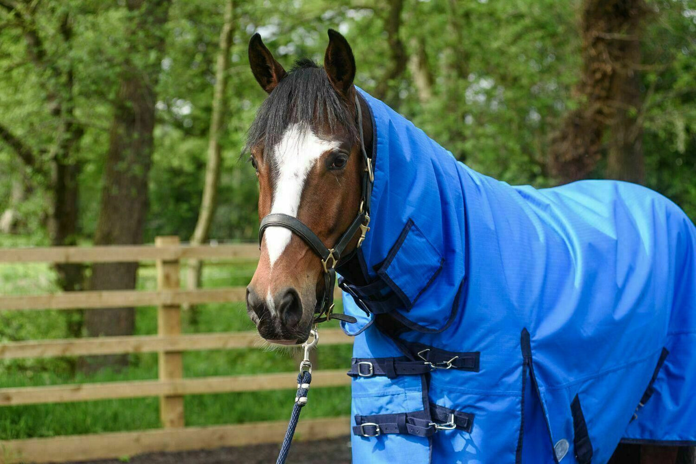 Best On Horse 50g 600D Waterproof Combo Turnout Rugs