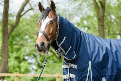 Best On Horse 50g 600D Waterproof Combo Turnout Rugs