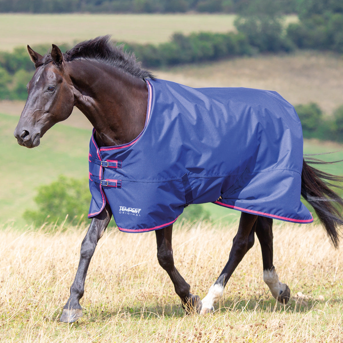 Shires Tempest Original 100g Standard Neck Turnout Rug