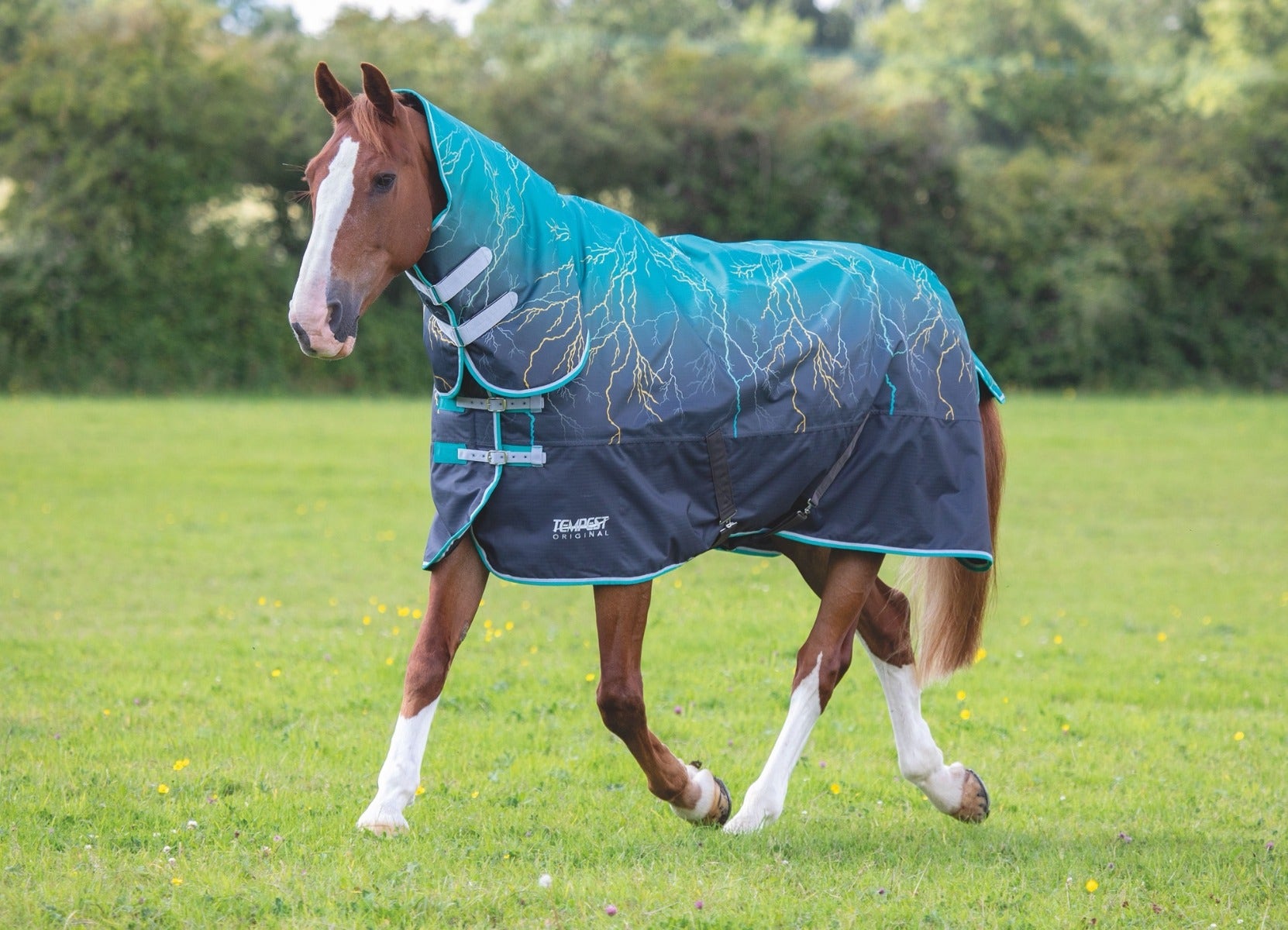 Shires Tempest Original 200g Combo Turnout Rug Lightning Pattern ...