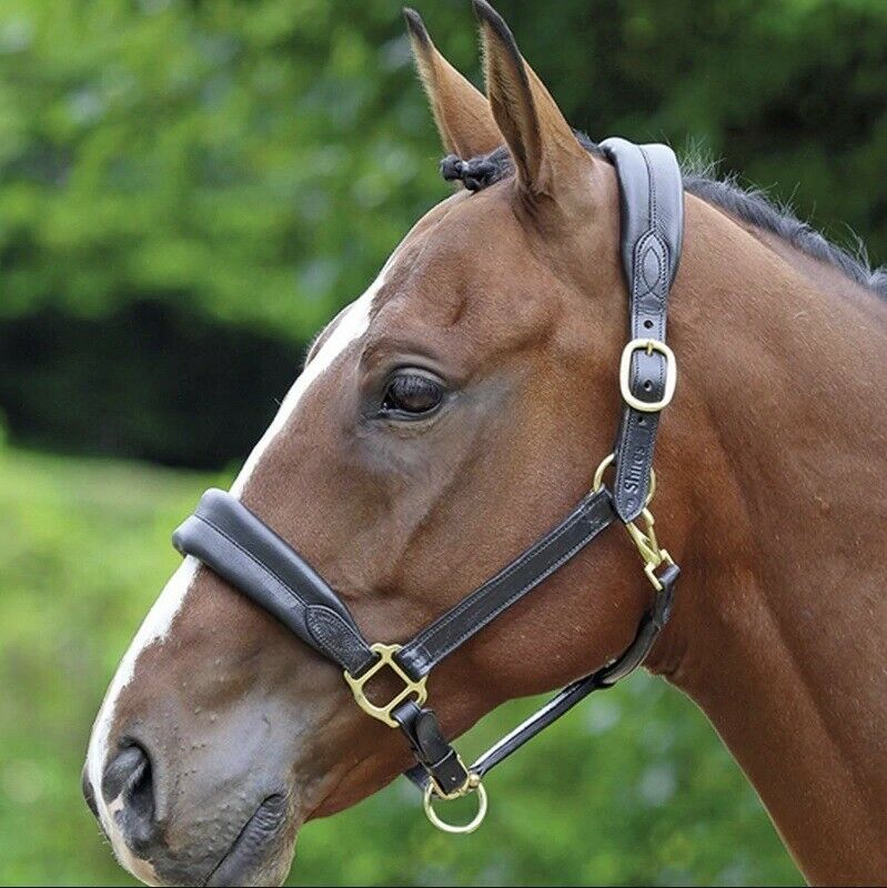 Shires Tempest 200 Set Coperta E Collo Per Cavallo – Originali UK, Nuove