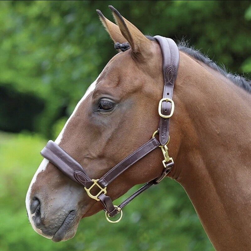 Shires Velociti Leather Headcollar